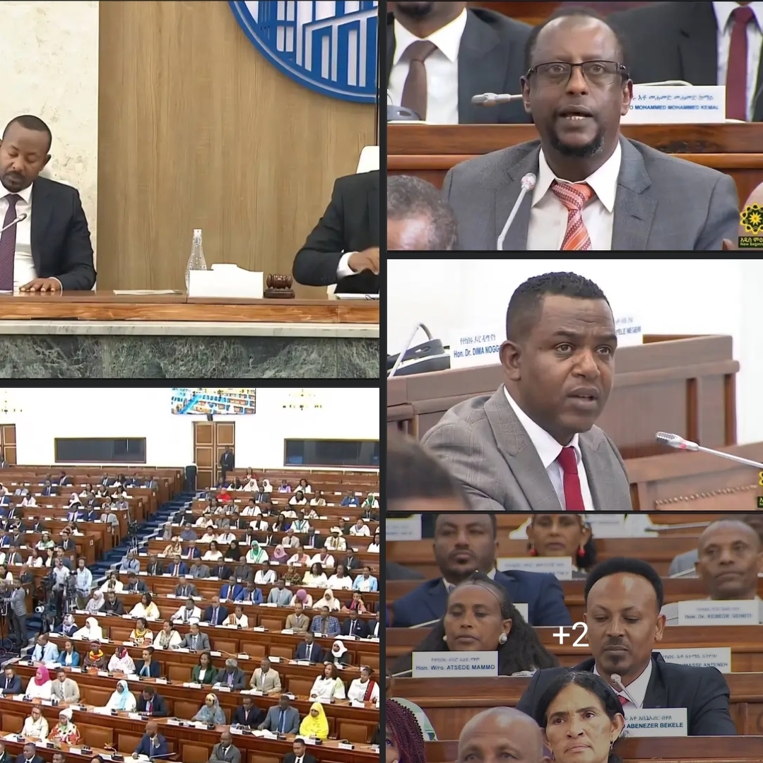 በሕዝብ ተወካዮች ምክር ቤት 5ኛ ዓመት የሥራ ዘመን 10ኛ መደበኛ ስብሰባ የምክር ቤቱ አባላት ለጠቅላይ ሚኒስትር ዐቢይ አሕመድ (ዶ/ር) ካነሷቸው ጥያቄዎች፡-
