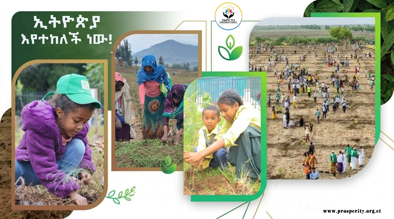 ኢትዮጵያ እየተከለች ነው!