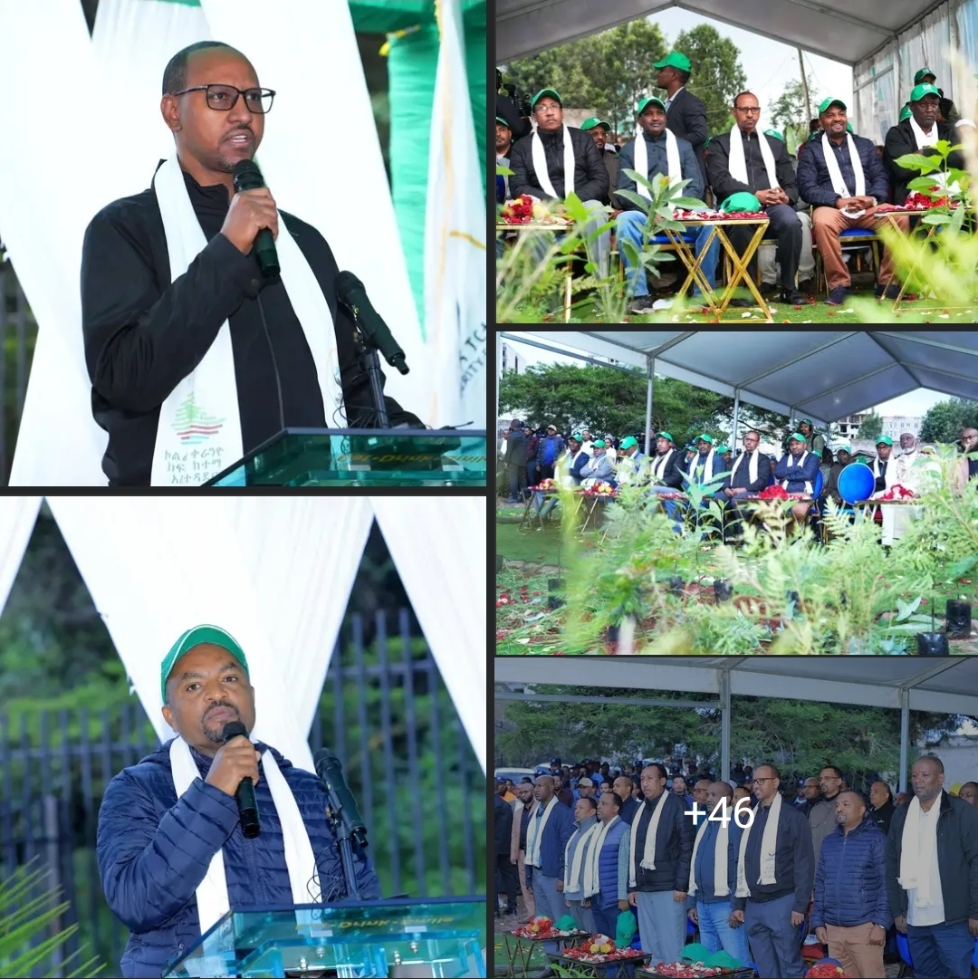 በብልፅግና ፓርቲ የሚመራው የመደመር መንግሥት በአረንጓዴ አሻራ ያስመዘገባቸውን ስኬቶች በሁሉም ዘርፎች ለመድገም በቁርጠኝነት ይሰራል - አደም ፋራህ
