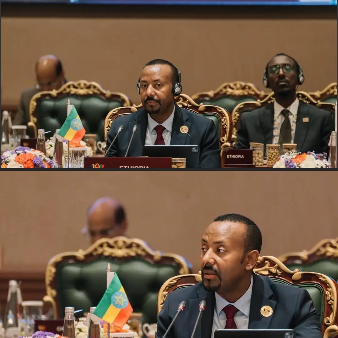 ጠቅላይ ሚኒስትር ዐቢይ አሕመድ (ዶ/ር) በ18ኛዉ የብሪክስ ፕላስ ጉባኤ ምን መልእክት አስተላለፉ?