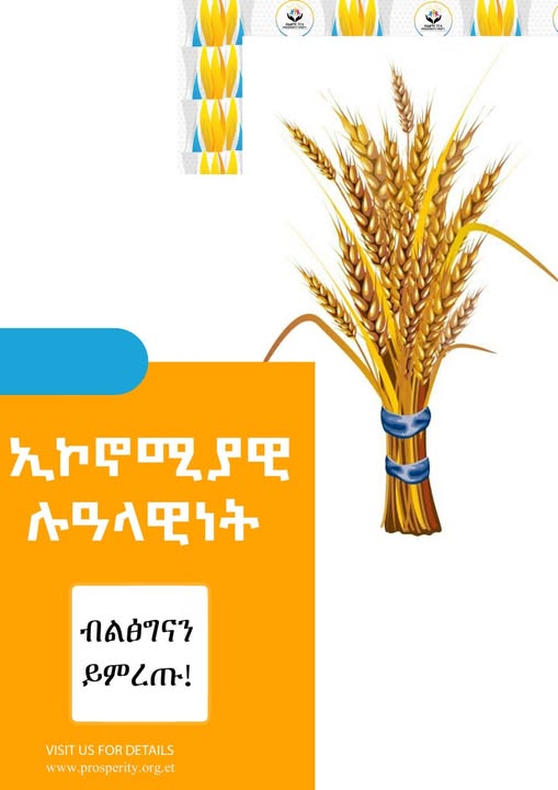 ኢኮኖሚያዊ ሉዓላዊነት