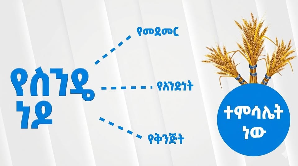 የስንዴ ነዶ፡- የመደመር፣ የአንድነትና የትብብር ተምሳሌት