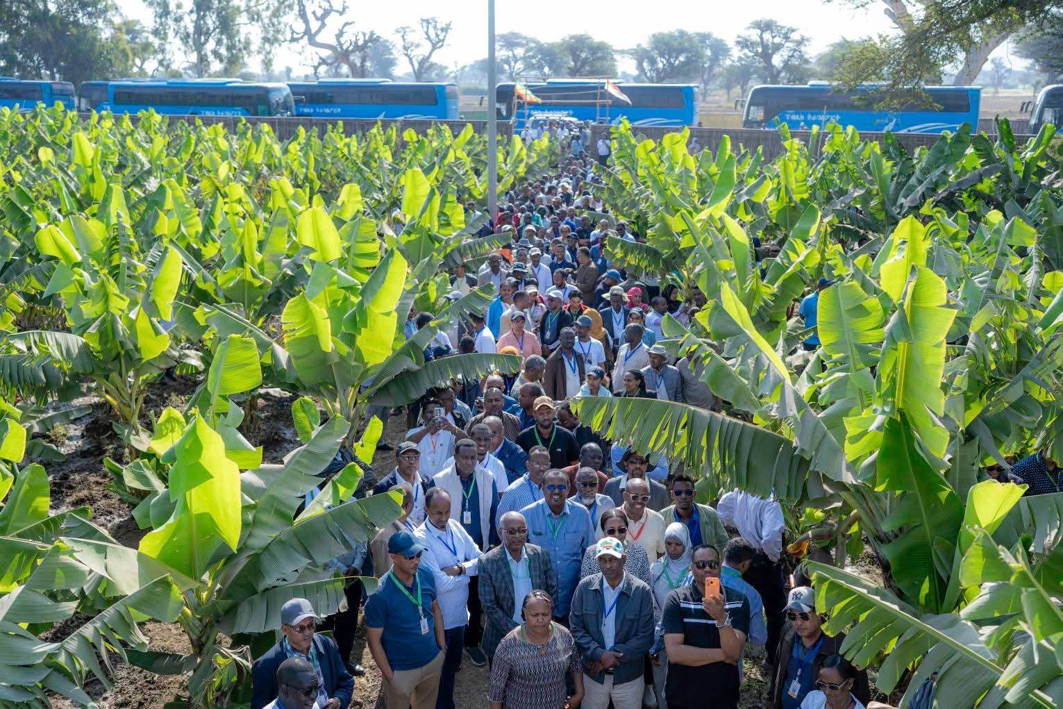 ብልፅግናን እውን ለማድረግ ሕዝቡን በማሳተፍ የሚከናወኑ ሥራዎች ተጠናክረው ይቀጥላሉ