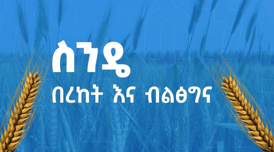 ስንዴ: በረከትና ብልጽግና