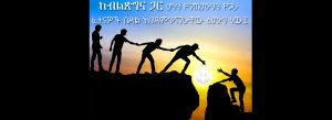 Read more about the article 