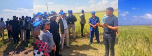 Read more about the article ጠቅላይ ሚኒስትር ዐቢይ አሕመድ በአርሲ ዞን ሄጦሳ ወረዳ በመስኖ የለማ የስንዴ ማሳ እየጎበኙ ነው
